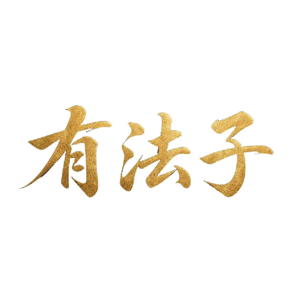 有法子